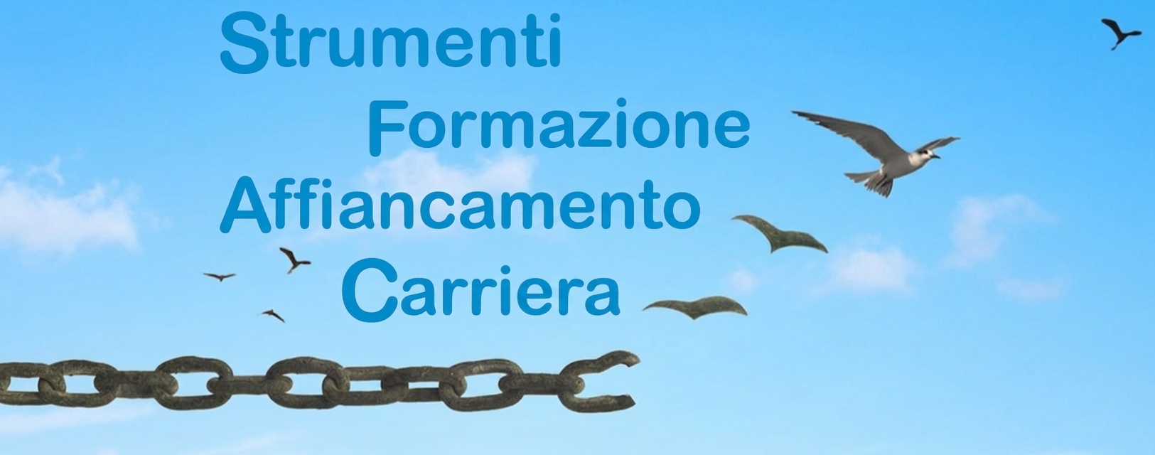Strumenti, Formazione, Affiancamento, Carriera — ReOpty